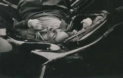 suicidio-mas-hermoso-evelyn-mchale-detalle